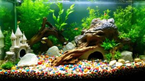 decoration aquarium