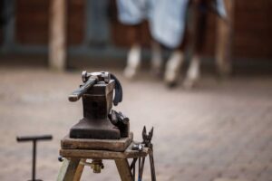 Fers équins : comment adapter le profil au type de sabot ?