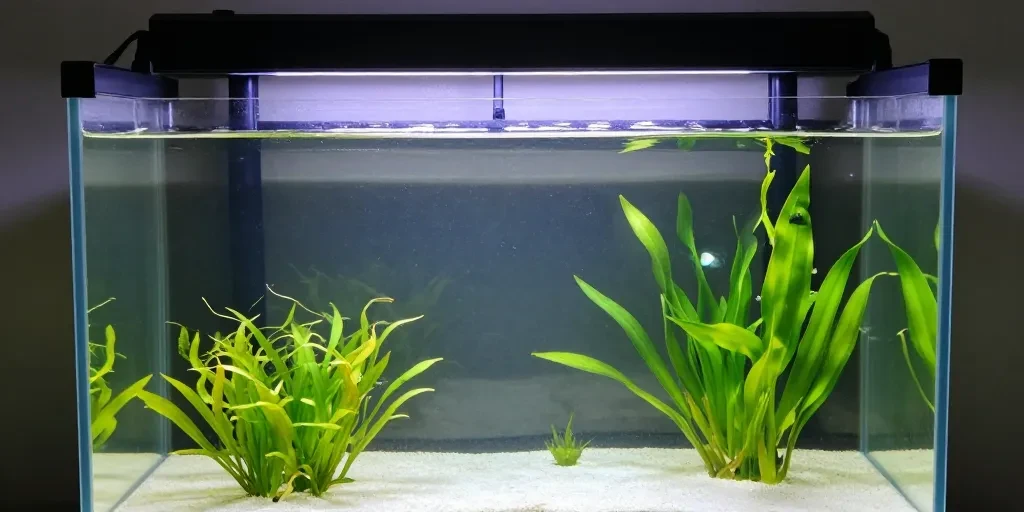 vitre aquarium